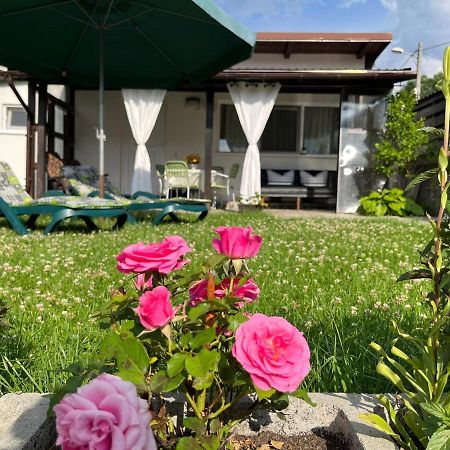 Charmante Petite Maison Transylvanie Villa Săcele Exterior foto